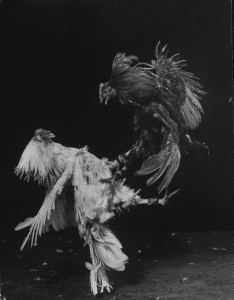 044d7a679688755f_landing 044d7a679688755f_landing